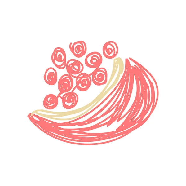 Granátové Jablko Ručně Kreslená Vektorová Ilustrace Náčrt Pera Nebo Značky — Stockový vektor