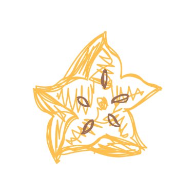 Carambola meyvesi. El çizimi vektör çizimi. Kalem ya da keçeli kalem çizimi