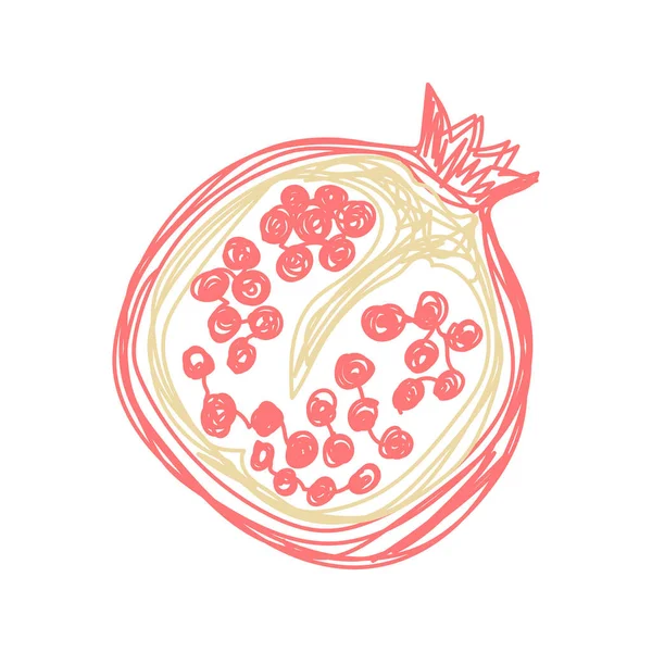 Pomegranate Fruit Hand Drawn Vector Illustration Pen Marker Doodle Sketch — Stock Vector