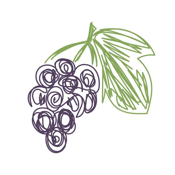 Fruta de uva. Ilustração vetorial desenhada à mão. Esboço de caneta ou marcador — Vetor de Stock