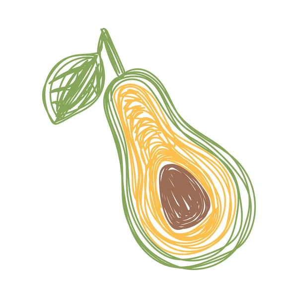Avokadofrukt. Handritad vektor illustration. Penna eller markör doodle skiss. — Stock vektor