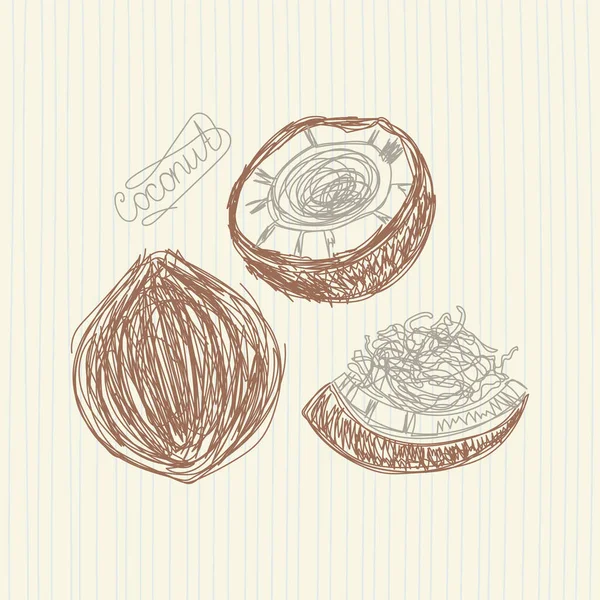 Fruta de coco. Ilustração vetorial desenhada à mão. Esboço de caneta ou marcador. — Vetor de Stock