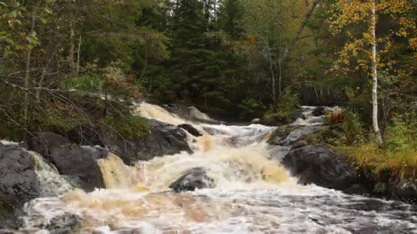 Tohmajoki Vodopád Podzim Bouřlivé Proudy Červené Vody Charakter Karelie Rusko — Stock video