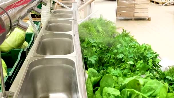 Nemlendirici Bir Alışveriş Merkezinde Taze Yeşillikleri Nemlendirmek Için Buhar Üretir — Stok video