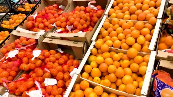 Mnoho Různých Odrůd Mandarinek Jsou Prodávány Vánoce Nový Rok — Stock video