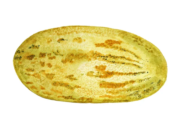 Watercolor melon — Stock Photo, Image