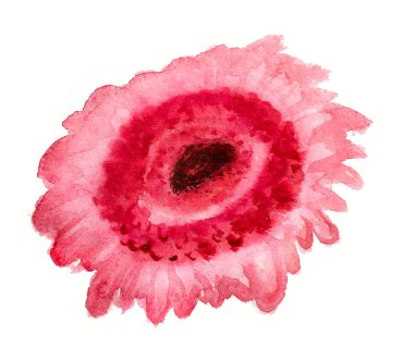 soyut pembe gerbera