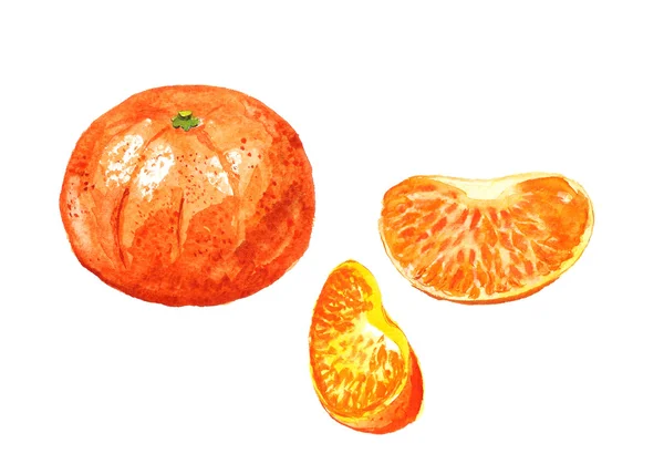 Mandarin szegmensében — Stock Fotó