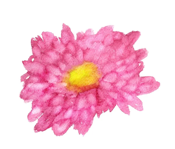 Abstaract rosa Chrysantheme — Stockfoto