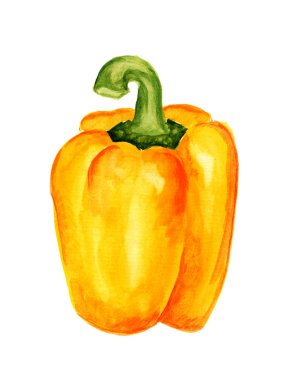 sarı kırmızı biber suluboya