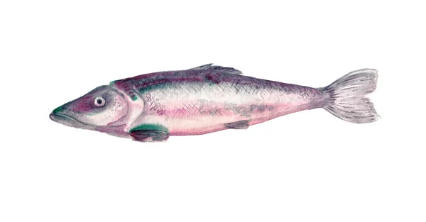 Рыбная акварель — стоковое фото
