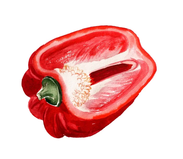 Polovina z červené papriky akvarel — Stock fotografie