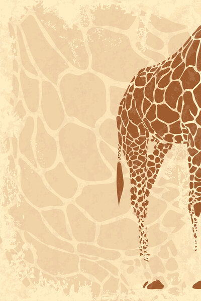 Backside of giraffe