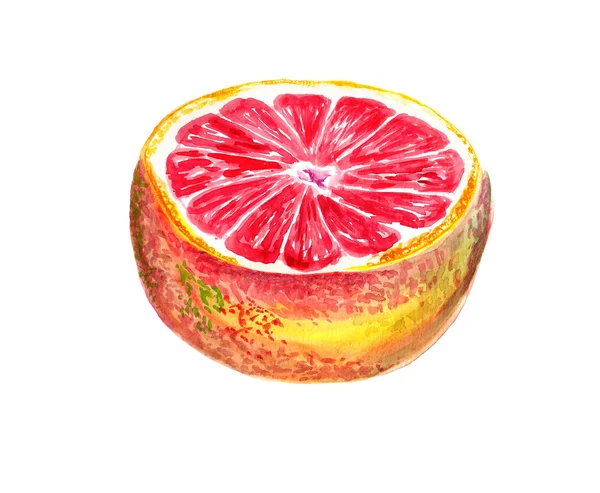 Polovina grapefruitu og — Stock fotografie