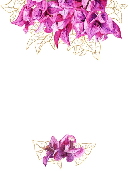 Sjabloon voor wenskaarten met bougainvillea bloemen — Stockfoto