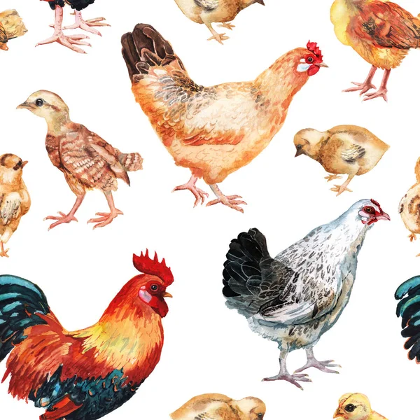 Sömlöst mönster med akvarell bild av kuk, höns och kyckling. — Stockfoto