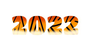 2022 yeni yıl daktilo edilen sayı tarihi