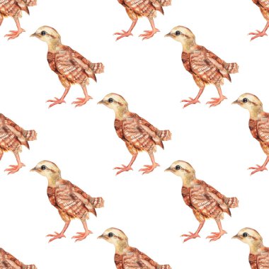 Pürüzsüz desenli suluboya tavuk resmi.