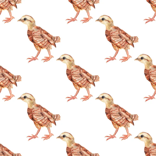 닭고기를 물감 모양으로 물감으로 물들이지 않는 무늬. — 스톡 사진