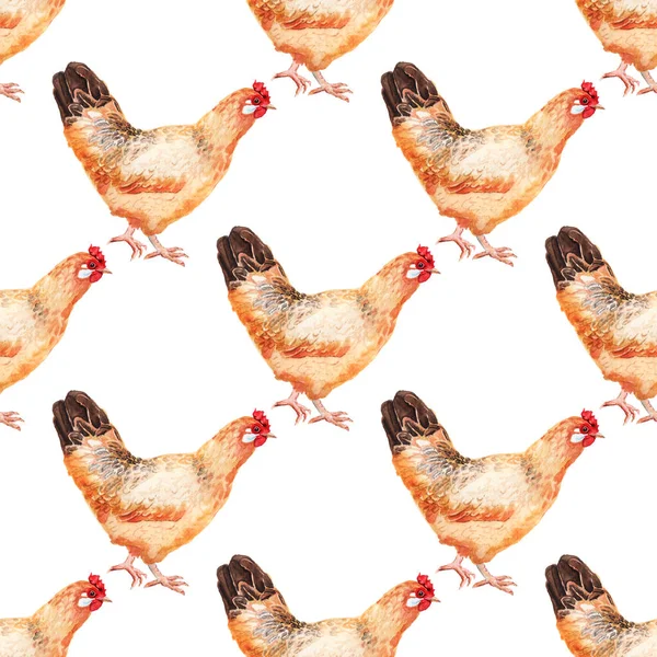 Seamless pattern with watercolor image of hen. — Stock Photo, Image