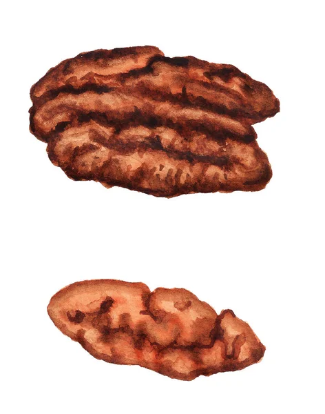 Watercolor peeled pecan nuts — Stock Photo, Image