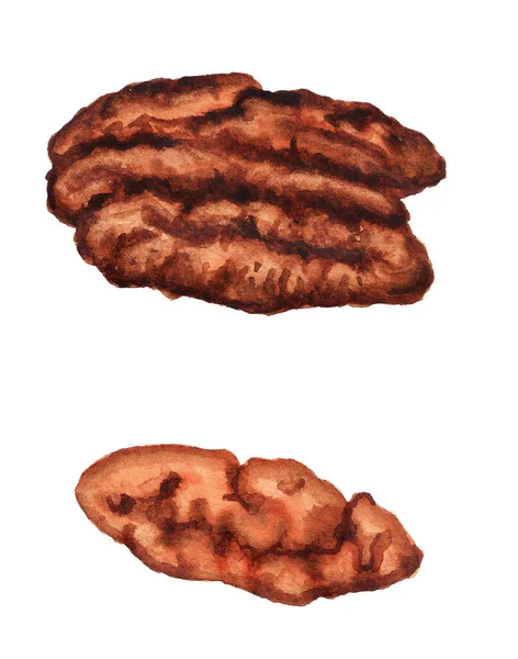 피칸 나무 열매를 껍질벗긴 수 채색 — 스톡 사진