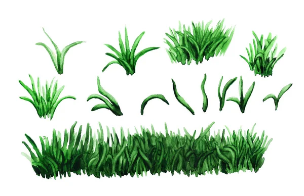 Uppsättning akvarell gräs. — Stockfoto