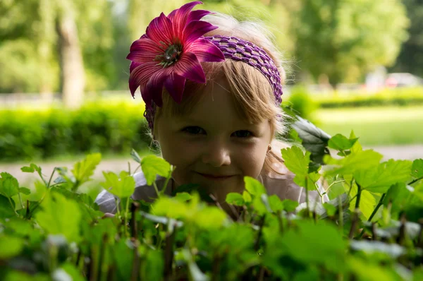 小さな女の子の茂みの後ろから顔をのぞかせた — ストック写真