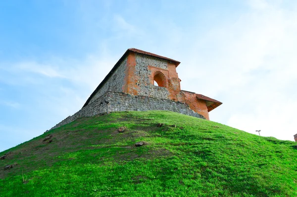 vilnius Gediminas kalede. Litvanya.