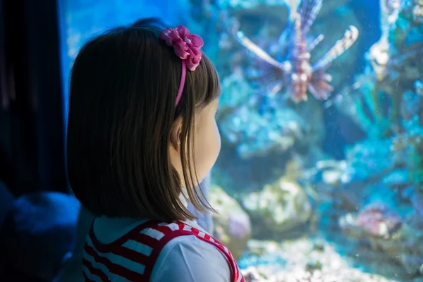 Ребёнок в океанариуме — стоковое фото