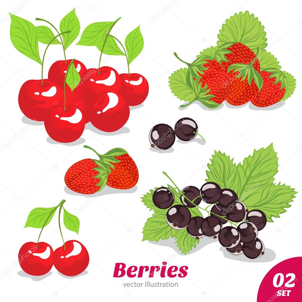 Set of berries, strawberry, cherry, black currant
