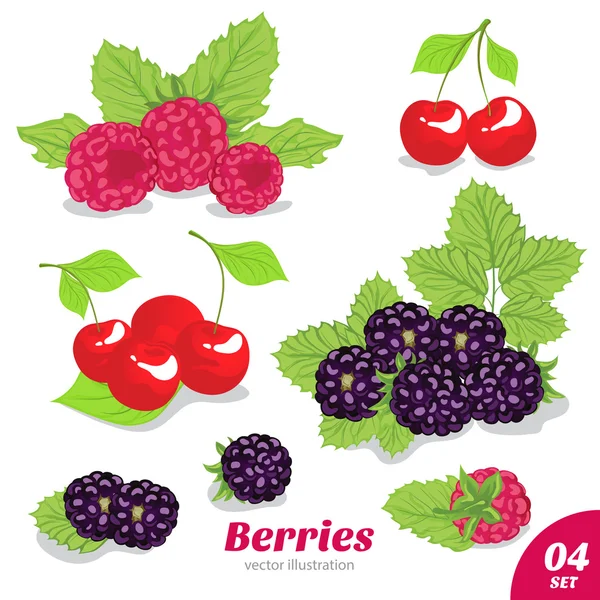 Ensemble de framboises, cerises et mûres — Image vectorielle