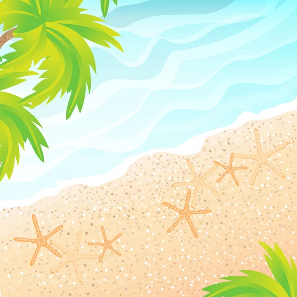 The sandy beach and palm trees — Stock Vector