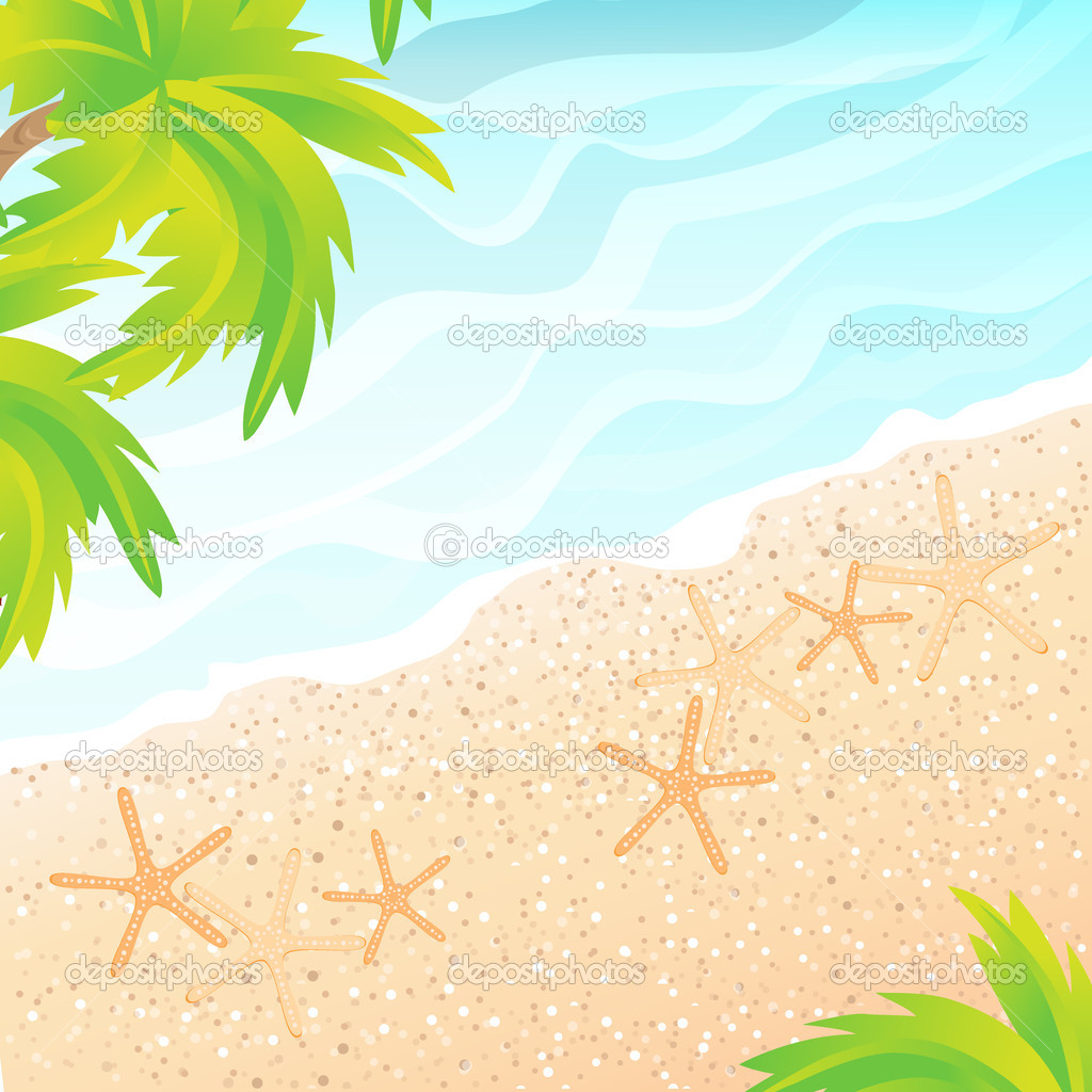 The sandy beach and palm trees