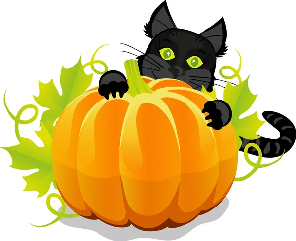 Citrouille halloween et chat noir — Image vectorielle