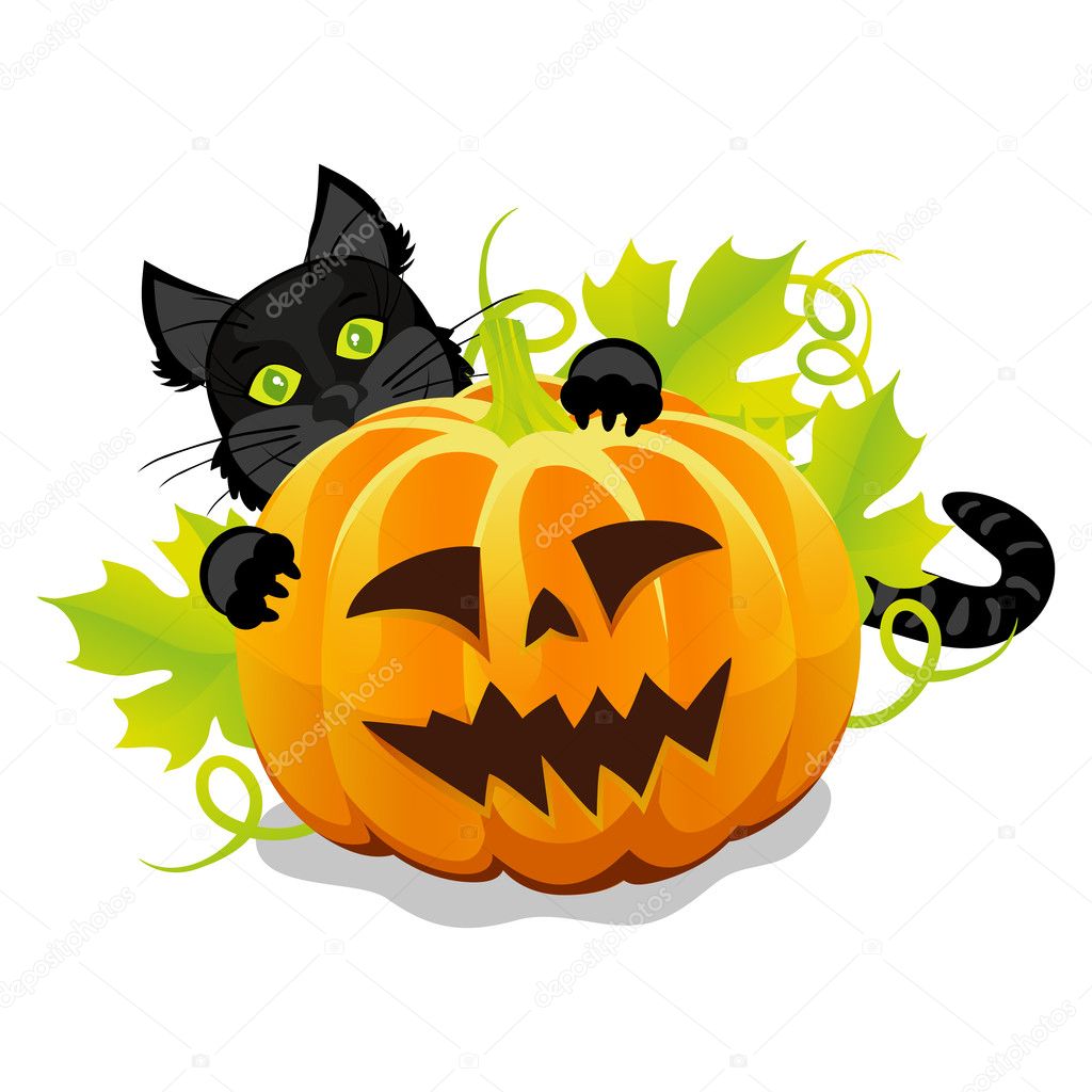 Evil halloween pumpkin and black cat