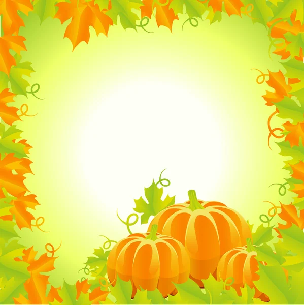 Autumn background of pumpkins and leaves — Stock Vector