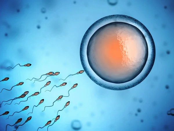 Spermie a vajíčka — Stock fotografie