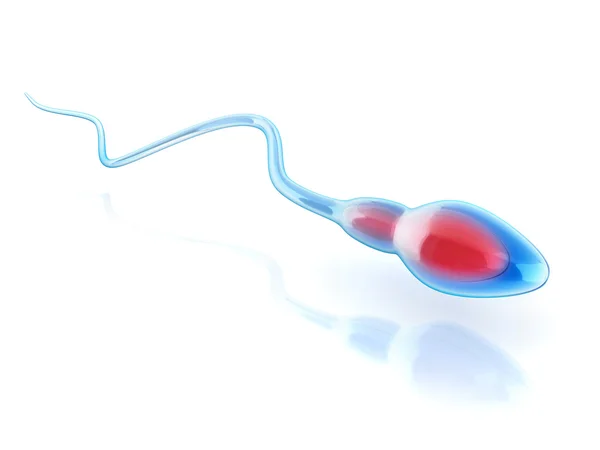 Sperm hücre izole — Stok fotoğraf