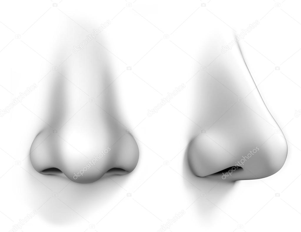 Human nose