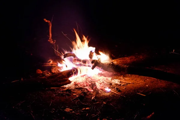Fire Nature Bokeh Lights — Stock Photo, Image
