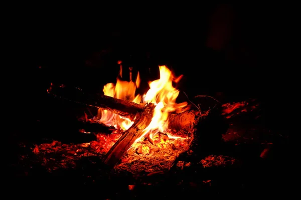 Вогонь Природі Боке Вогнів — стокове фото
