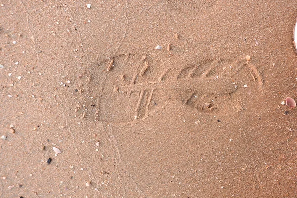 Beautiful Shoe Marks Sand — Stock Photo, Image