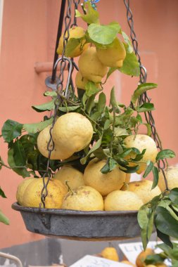 Sud İtalya 'dan Sorrento City' ye. Tatil gezisi, dükkan yemekleri. 