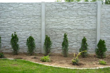Yeşil thuja ile beton desenli çitler