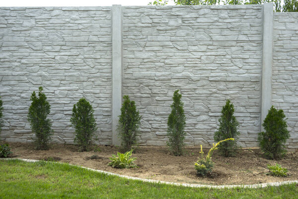 Concrete pattern fence with  green thuja