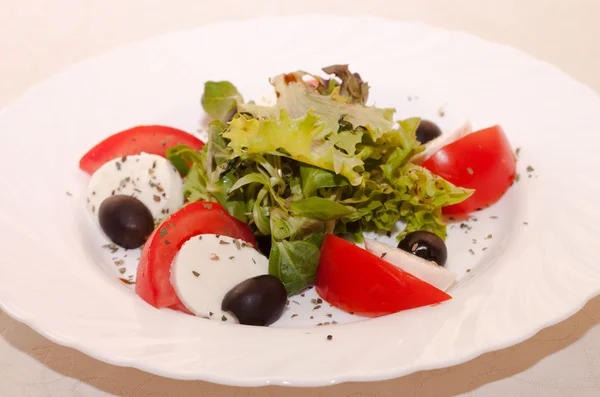 Salad with Mozzarella — Stock Photo, Image