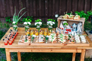 Delicious catering banquet buffet table decorated in rustic style in the garden. Different snacks, sandwiches and cocktails. Outdoor.