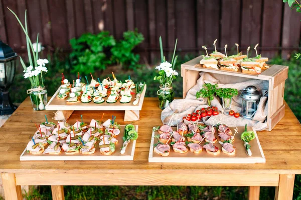 Delicious Catering Banquet Buffet Table Decorated Rustic Style Garden Different —  Fotos de Stock