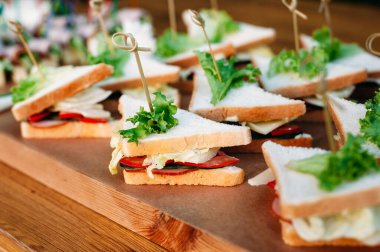 Delicious catering banquet buffet table decorated in rustic style in the garden. Different snacks, sandwiches with meat, greenery, eggs, cucumber and pesto sauce. Outdoor, closeup.